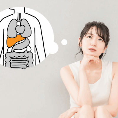 肝臓とダイエットイメージ