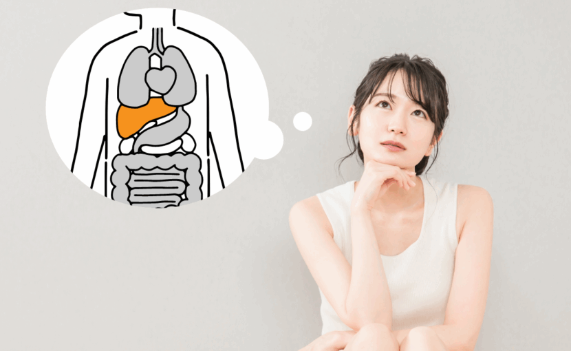 肝臓とダイエットイメージ