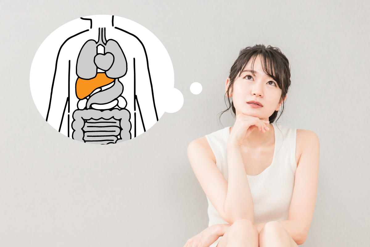 肝臓とダイエットイメージ