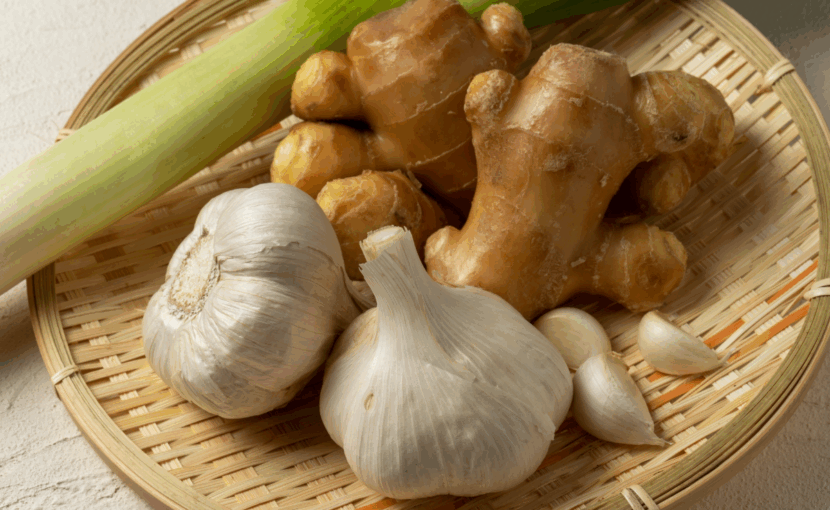 根菜・ねぎ・しょうがイメージ画像