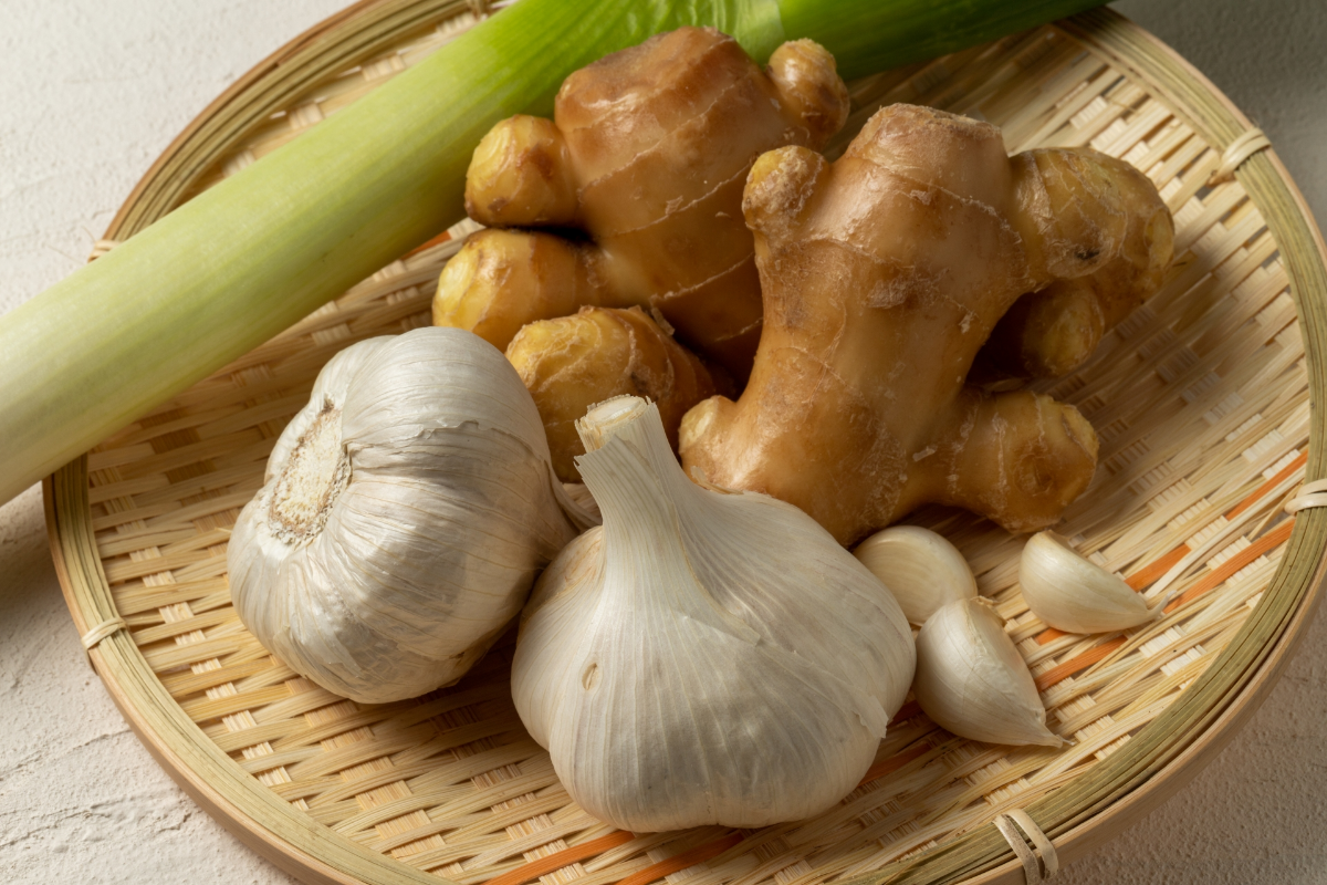 根菜・ねぎ・しょうがイメージ画像